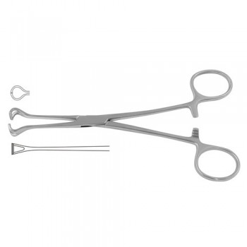 Babcock Intestinal and Tissue Grasping Forceps Stainless Steel, 21 cm - 8 1/4"